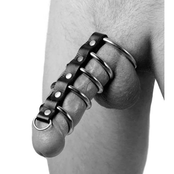 5-Ring Chastity Device
