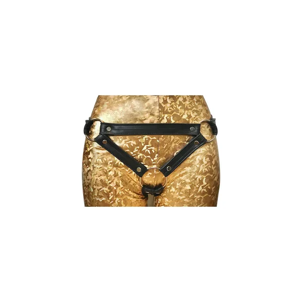 Adjustable Bicycle Tube Strap on Harness