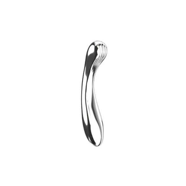 Biird Polii Stainless Steel Curved G-Spot Dildo