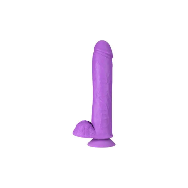 Blush Neo Elite 10 Inch Dual Density Silicone Dildo