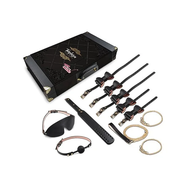 Blush Temptasia Safe Word Bondage Kit with Suitcase