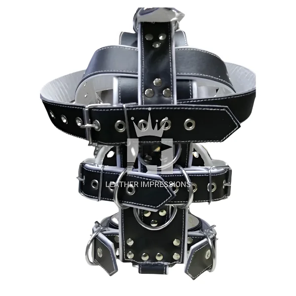 Bondage Muzzle With BDSM Head Harness