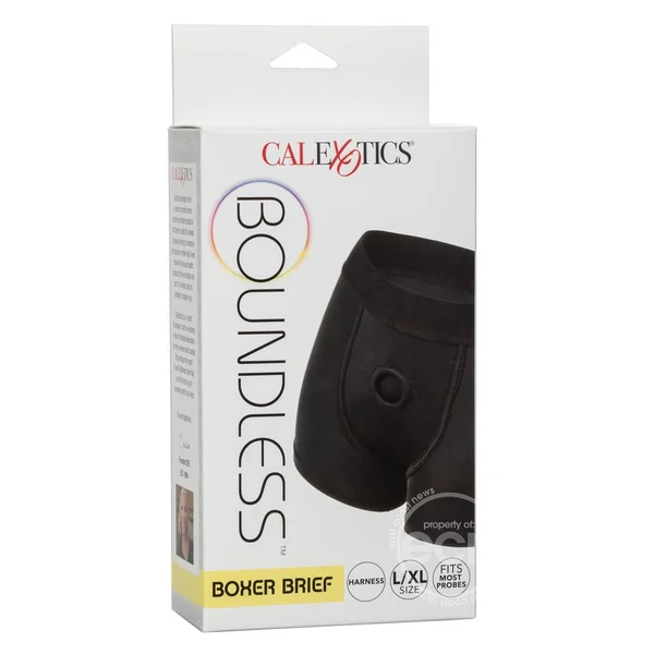 Boundless Boxer Brief Harness - L/XL - Black