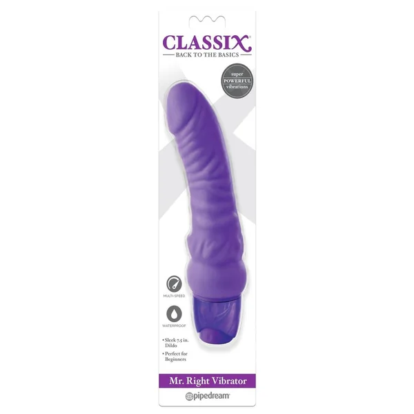 Classix Mr. Right Vibrator - Purple