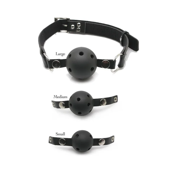 Fetish Fantasy Series Ball Gag Training Kit