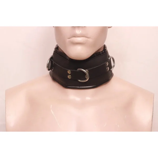 Genuine Black Leather Posture Collar with D-Ring