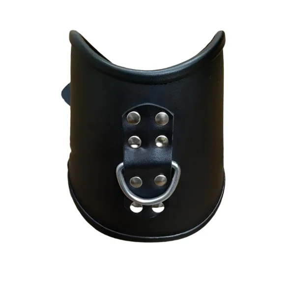 Genuine Leather Bondage Posture Collar with D-Rings