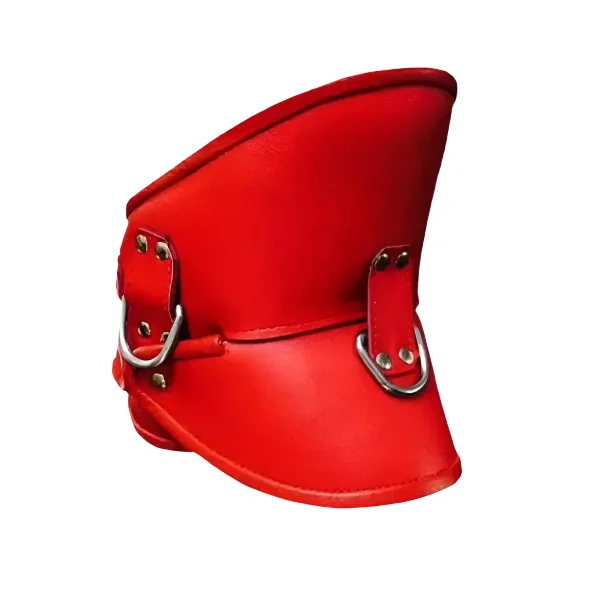 Genuine Leather Bondage Posture Collar with Dual Straps