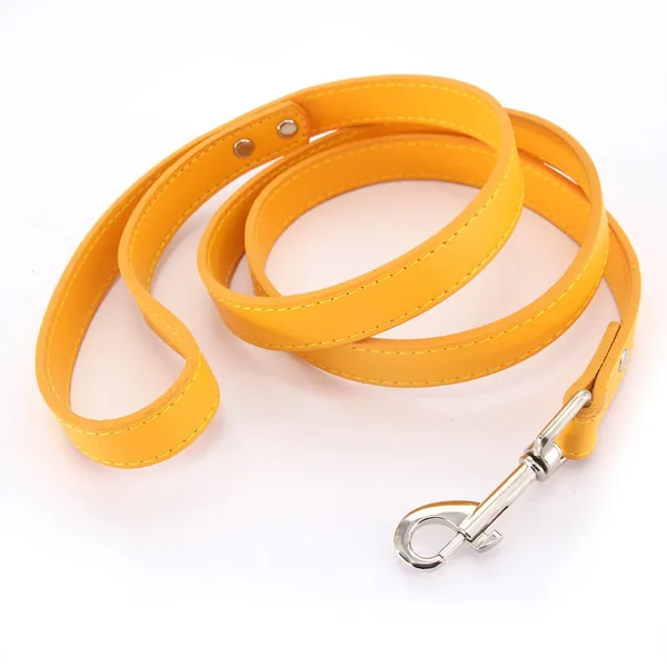 Gold Allure Leather Leash