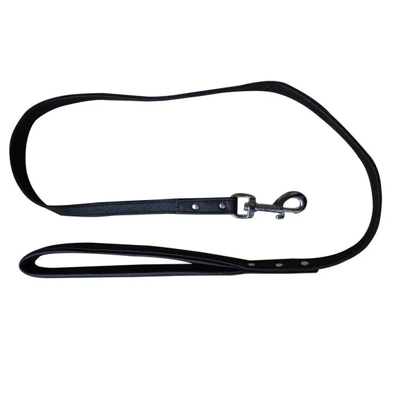 LEATHER 4 FT. LONG LEASH