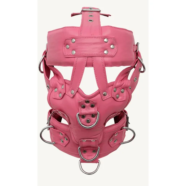 Leather Bondage Muzzle with Multiple D-Rings and Adjustable Straps