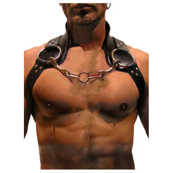 Leather Shoulder Harness