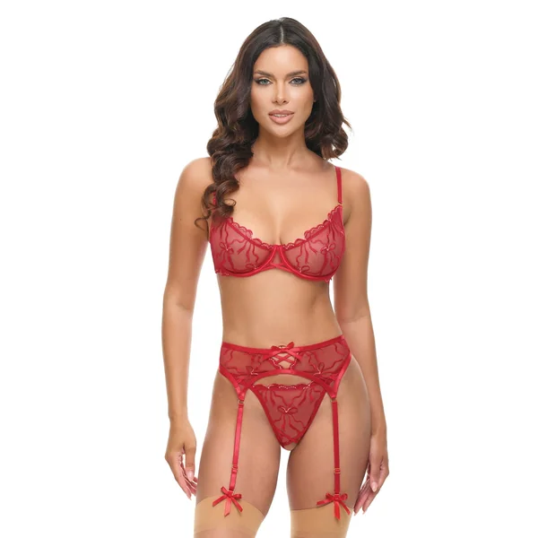 Mariah Embroidered Lace and Mesh Underwire Bra w/Garter & G-String 3 pc Set - Burgundy SM