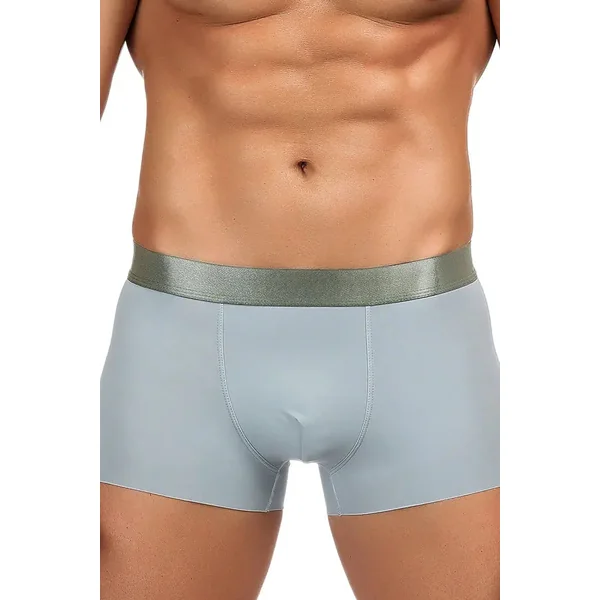 Men's Model Gray Boxer Brief