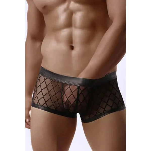 Mens Sexy Sheer Black Boxer Underwear