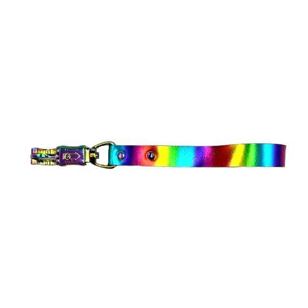 METALLIC RAINBOW LEASH WITH PANIC SNAP