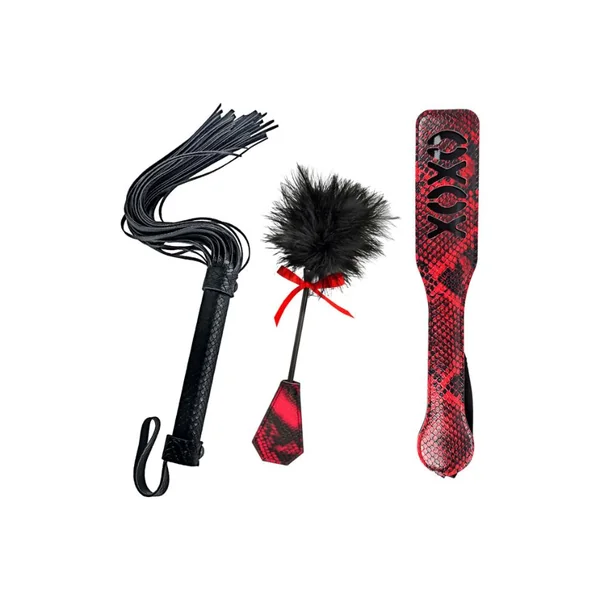 Nasstoys Lovers Kits Whip, Spank & Tickle