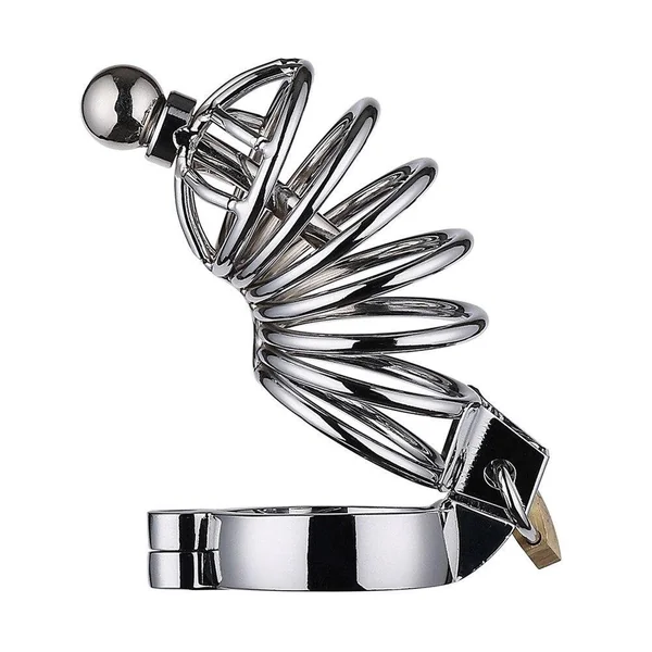 OLO Male Stainless Steel Cock Cage Penis Ring Chastity Device Catheter Cock Cage with Stealth New Lock Adult Belt Sex Toy
