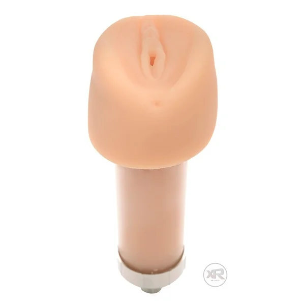 Pandoras Pussy Attachment