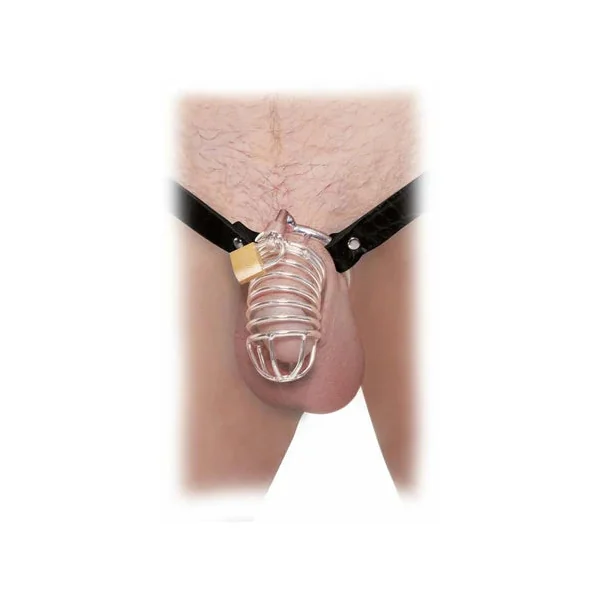 Pipedream Fetish Fantasy Extreme Extreme Chastity Belt Locking Cock Cage Silver/Black