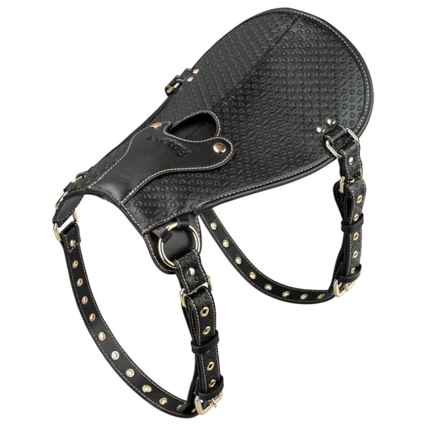 Rebellion Reign - Leather Strap On Harness & Versatile O-Ring Mount