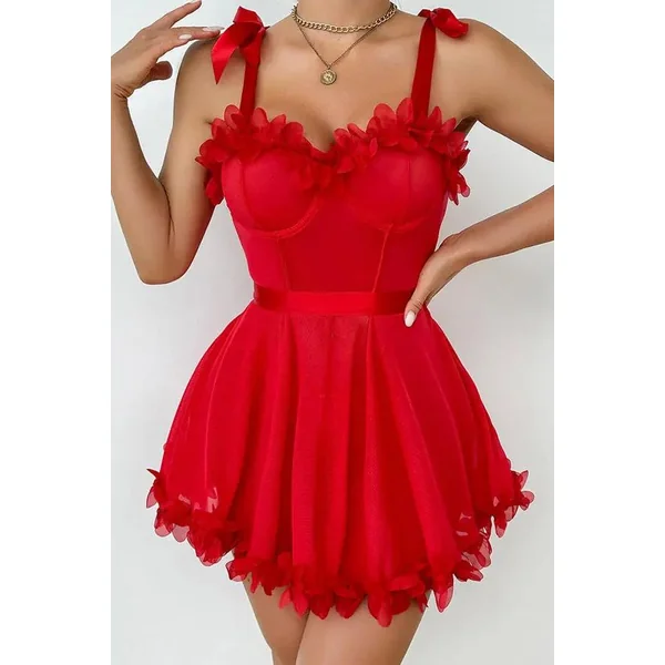 Red Floral Appliqué Mesh Mini Dress