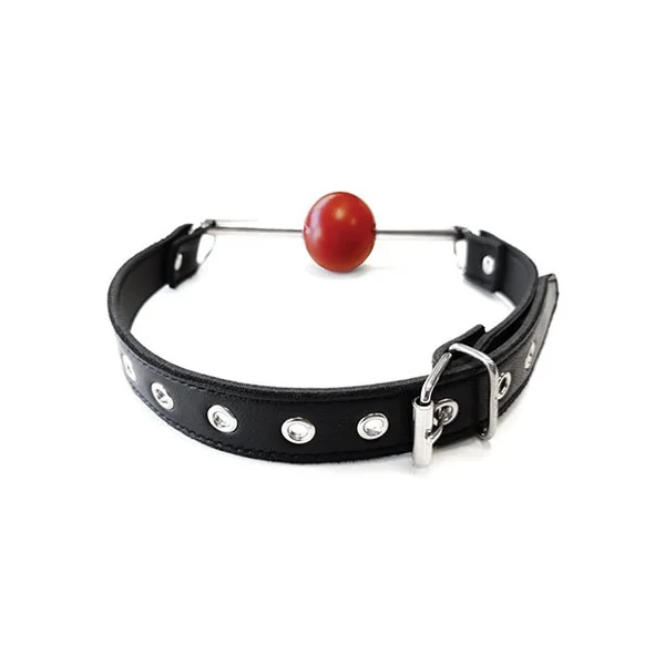 Rouge Leather Ball Gag with Stainless Steel Rod and Removable Ball - Black with Red
