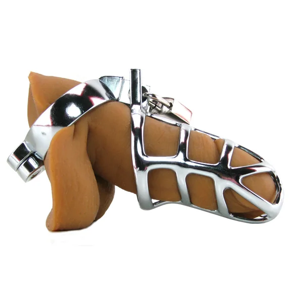 Stainless Steel Cock Cage Inbox