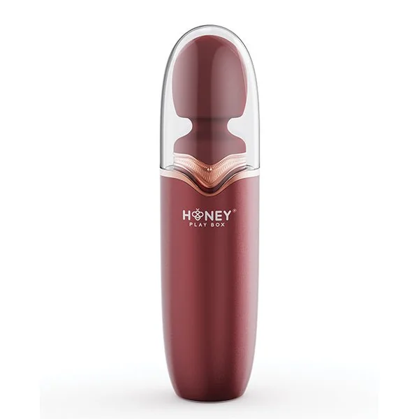 STORMI Powerful Wand Massager w/Charging Case