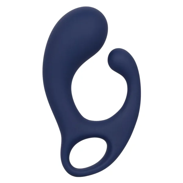 Viceroy Direct Anal Probe